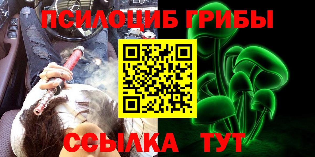 продажа наркотиков  Псилоцибиновые грибы Cubensis  Вход с VPN  Каменск-Шахтинский 