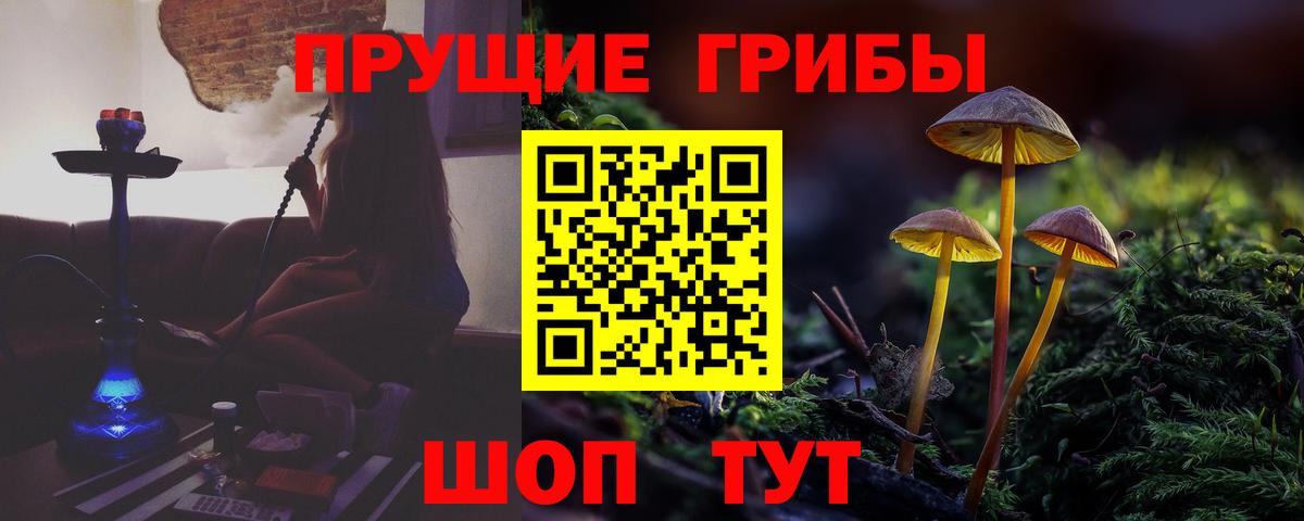 Псилоцибиновые грибы MAGIC MUSHROOMS Каменск-Шахтинский